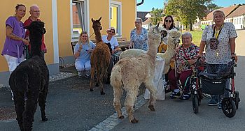 Gruppenfoto: Personen mit Alpakas.